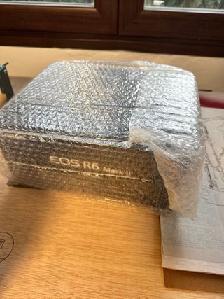 Canon EOS R6 Mark II Cámara Digital