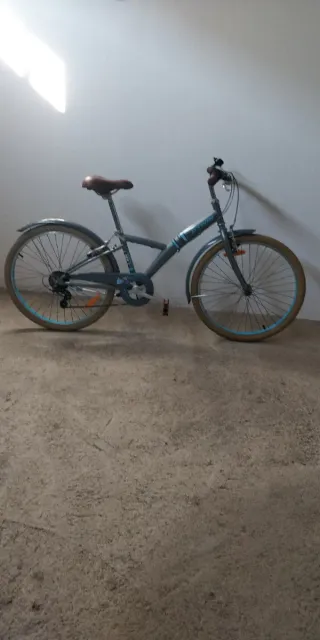 Bicicleta Paseo Vintage