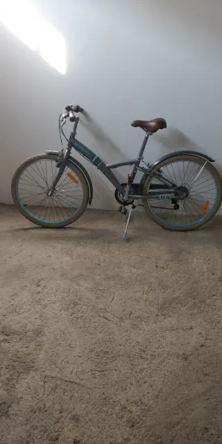 Bicicleta Paseo Vintage