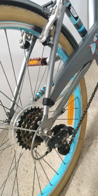 Bicicleta Paseo Vintage