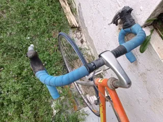 Bicicleta de carretera antigua
