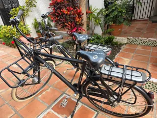 Lote 4 Bicis Eléctricas URX 1Paseo 1Montaña y una