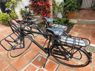 Lote 4 Bicis Eléctricas URX 1Paseo 1Montaña y una