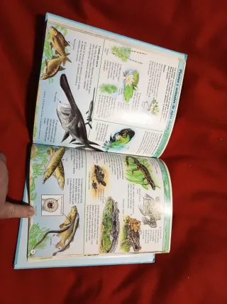 MI PRIMERA ENCICLOP. NATURALEZA /TDLB