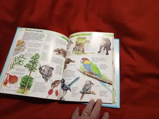 MI PRIMERA ENCICLOP. NATURALEZA /TDLB