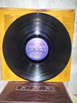 LP Donna Summer - She Works Hard for the Money
