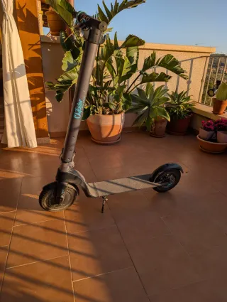 Patinete Eléctrico Cecotec Phoenix Evolution