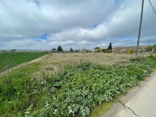 Terreno en venta en Mollerussa