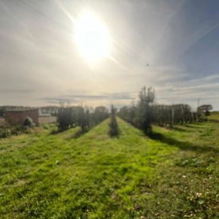 Terreno en venta en Golmés