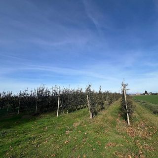 Terreno en venta en Golmés