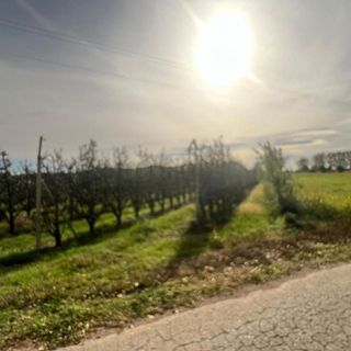 Terreno en venta en Golmés