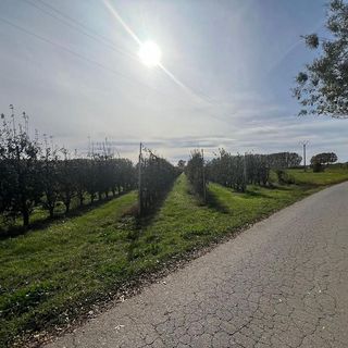 Terreno en venta en Golmés