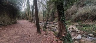 Terreno en venta en Arbúcies