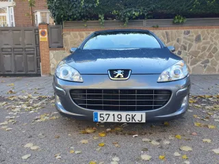 Peugeot 407 2009