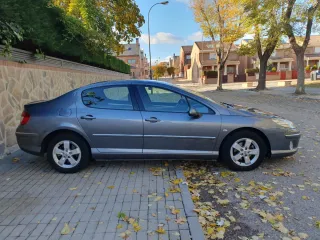Peugeot 407 2009
