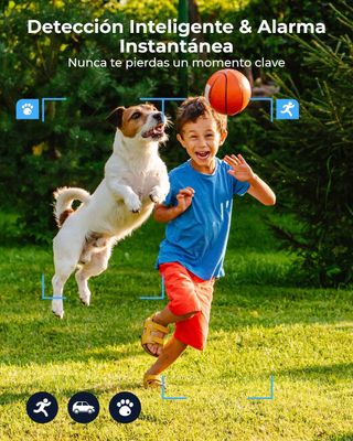 Reolink Cámara 4K WiFi Exterior Solar