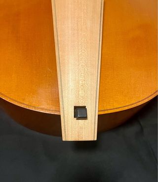 Viola da Gamba Bertrand 1714 Bajo