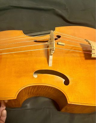 Viola da Gamba Bertrand 1714 Bajo