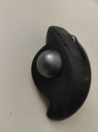 Ratón Logitech Inalámbrico Negro