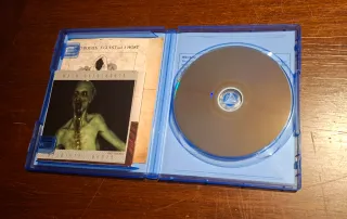 Juego PS4 Madison Possessed Edition