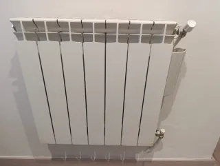 Caldera de gas Vaillant EcoTEC Plus