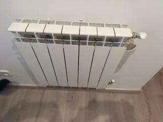 Caldera de gas Vaillant EcoTEC Plus