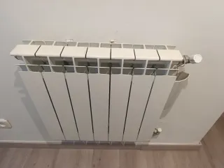 Caldera de gas Vaillant EcoTEC Plus