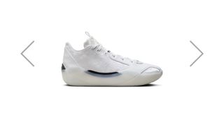Jordan Air Type 39