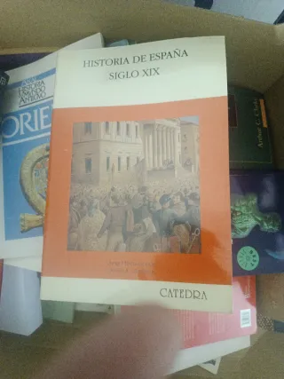 Historia de España. Siglo XIX (Historia: Serie ...