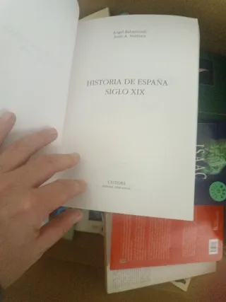 Historia de España. Siglo XIX (Historia: Serie ...