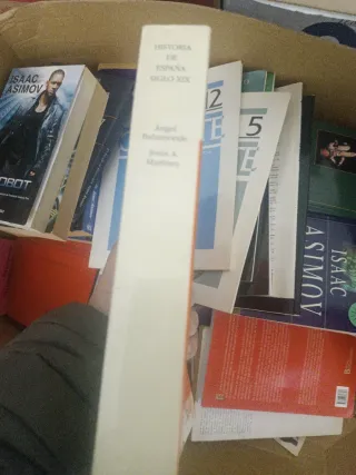 Historia de España. Siglo XIX (Historia: Serie ...