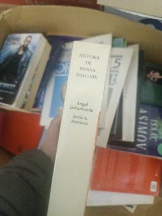 Historia de España. Siglo XIX (Historia: Serie ...
