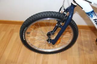 Bicicleta Infantil 20 pulgadas.