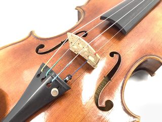 violin stentor the messina