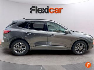 Ford Kuga ST-Line 2.0 EcoBlue 88kW (120CV) Auto