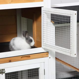 Jaula para Conejos de Exterior con Puertas Múltiples, Conejera de Madera de Abeto con Rampa, Casita para Conejos y Espacio Abierto Cercado, Amarillo y Negro