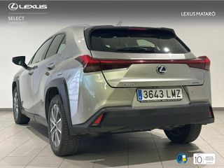 LEXUS UX BEV 54.3KWH 300E BUSINESS 204 5P TITANIUM