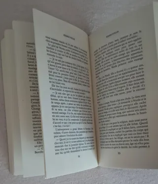 Libro in francese, livre en francaise Femmes d’Isl