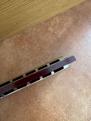 Armónica Hohner The World's Best!