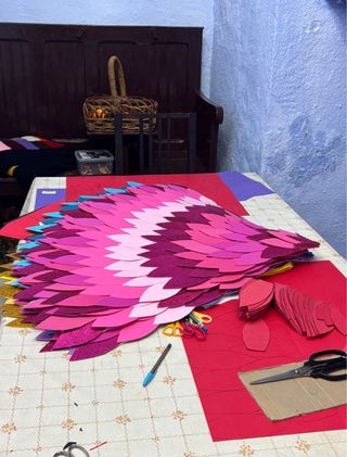 Confezione costumi da uccello