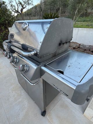 Barbacoa Gas Weber Genesis E-330
