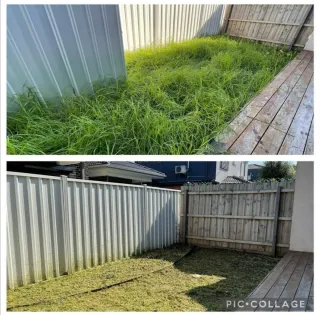 Servicio de jardinería