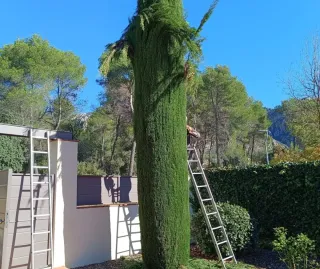 JARDINERO ECONÓMICO