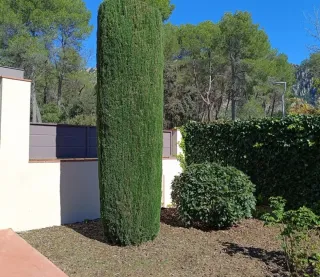 JARDINERO ECONÓMICO