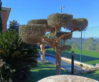 JARDINERO ECONÓMICO
