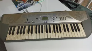 Teclado Casio Órgano