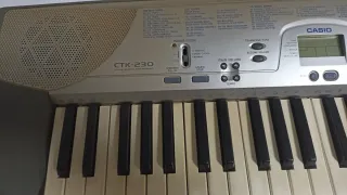 Teclado Casio Órgano