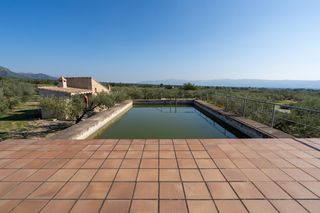 Finca rústica de olivos con casa de campo y balsa