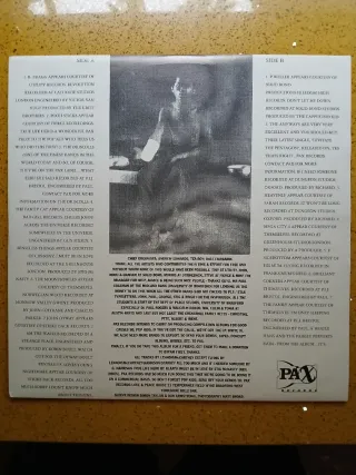 Revolution n°9 (Beatles vinilo tributo)