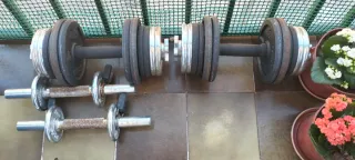 Manubri regolabili con dischi